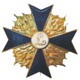 Freikorps - Selbstschutz-Bataillon Lublinitz - Kreuz 1. Klasse